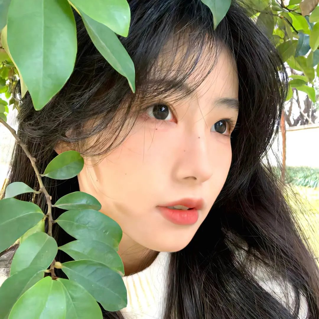 北极征熊记