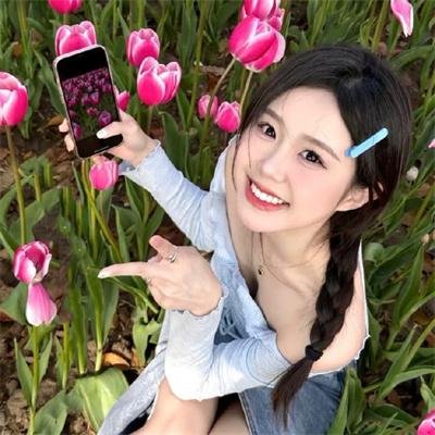 驴子潘趣